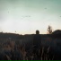 DEAD BAYB