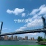 白白