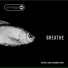 The Prodigy, Mefjus, Camo & Krooked