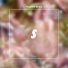 SOUND PALETTE feat. floryy