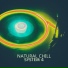 System 4