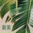 己安妮