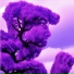 OGJon