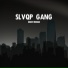 SLVQP GANG