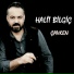 Halit Bilgiç
