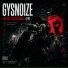 GYSNOIZE