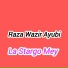 Raza Wazir Ayubi