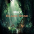 Milz