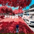 Pitplug