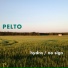 Pelto
