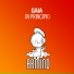 Armin van Buuren pres. Gaia