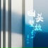 董大伟