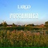 АРТ-ГРУППА LARGO