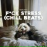 Panda Chill, Panda Lofi, Panda Music