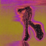 American Dance Ghosts, Garrett David