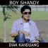 Boy Shandy