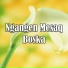 Sandi Wisnu