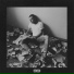Ilya Drums x Pantheon Music
