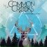 Common Crooks