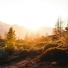 Natural Space