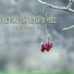 Out Of Berlin, Ulli Bögershausen, Luke Woodapple