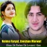 Naima Faryal, Zeeshan Marwat
