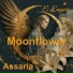 E-Engura, Assaria
