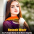 Naseeb Wazir