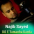 Najib Sayed