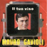 Mauro Gavioli