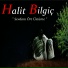 Halit Bilgiç