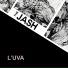 The Jash