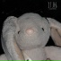 VADIM NEMIL