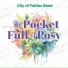 The City of Fairfax Band