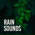 Whale Sounds