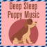 Relaxmydog, Dog Music Dreams