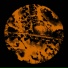 Akkon