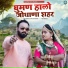 Veer Dewasi, Manju Panwar