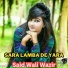 Said Wali Wazir