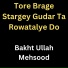 Bakht Ullah Mehsood