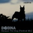 DFM BOBINA