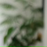 Radrol