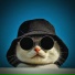 Soundhiller.pro