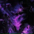 DXRMIS, yoshinxri, dyraley