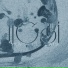 iicoi