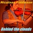 Nicolaas Fiddleson