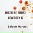 Saleem Marwat