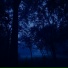 my head is empty, Miranda Rain