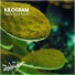 Kilogram