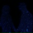 XDCXRE